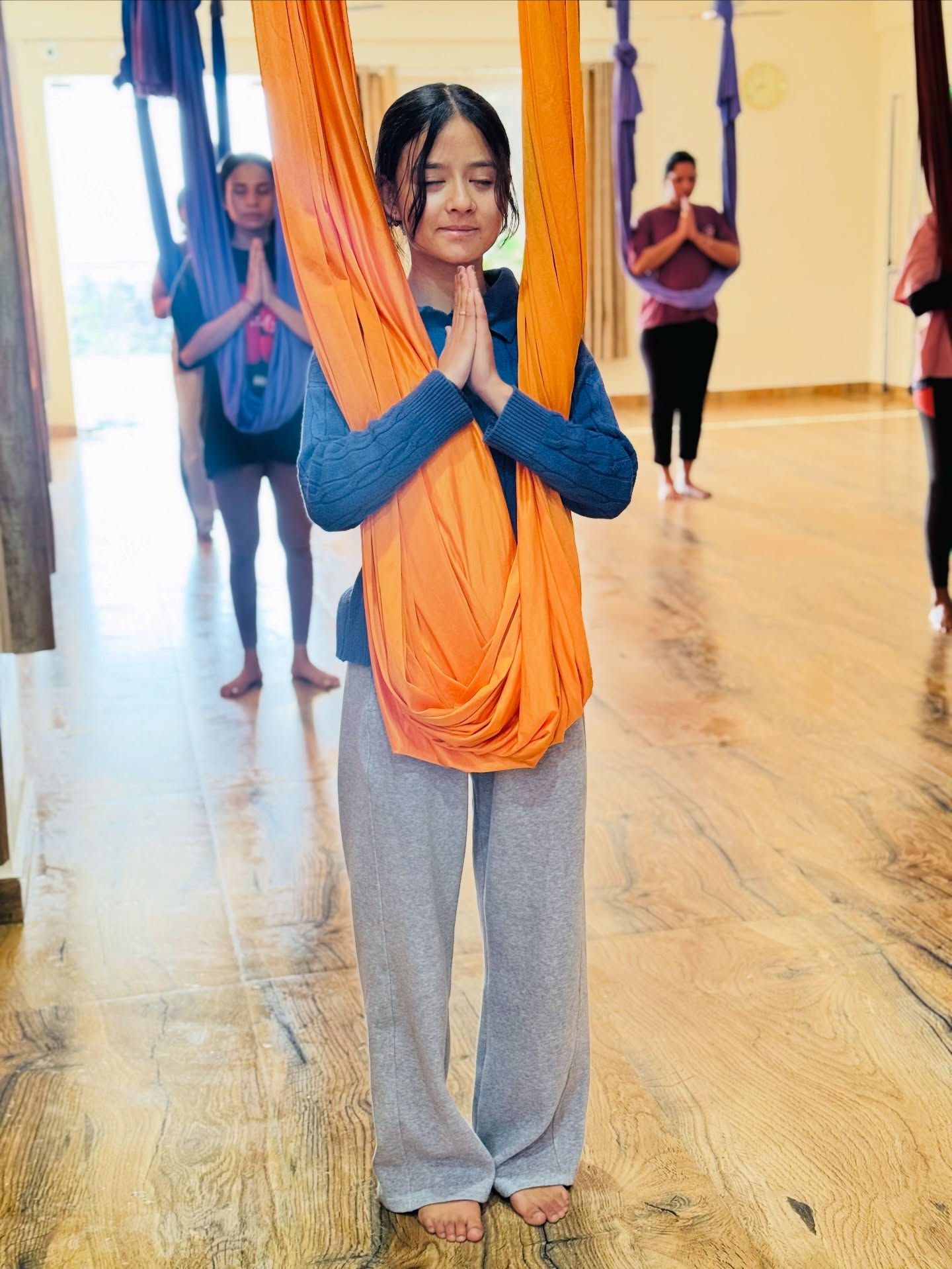 Aerial Yoga Teacher Training course
