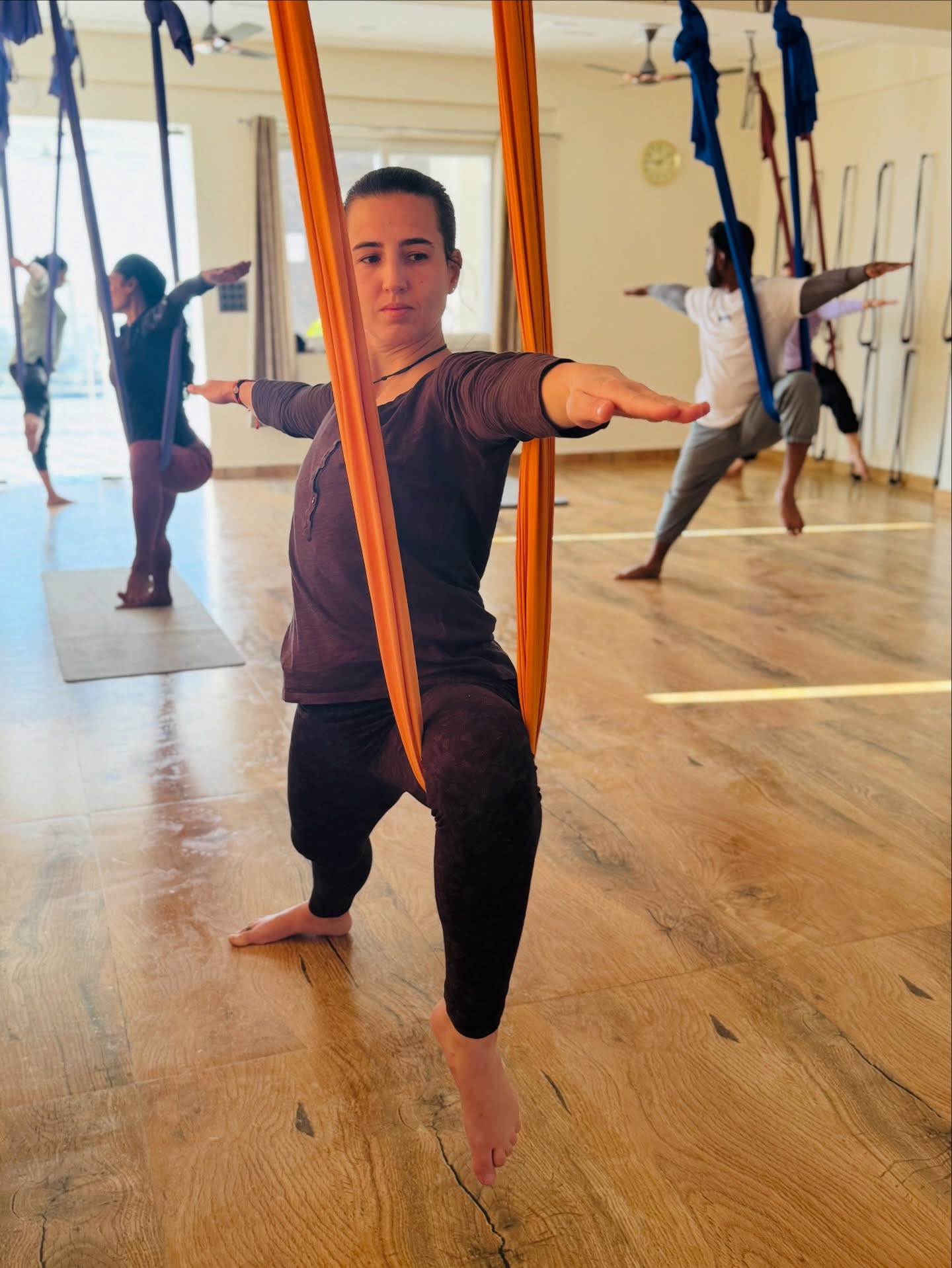 Aerial Yoga Teacher Training