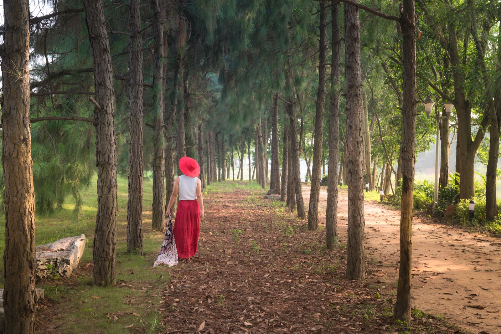A woman practising walking yoga on a quiet forest path